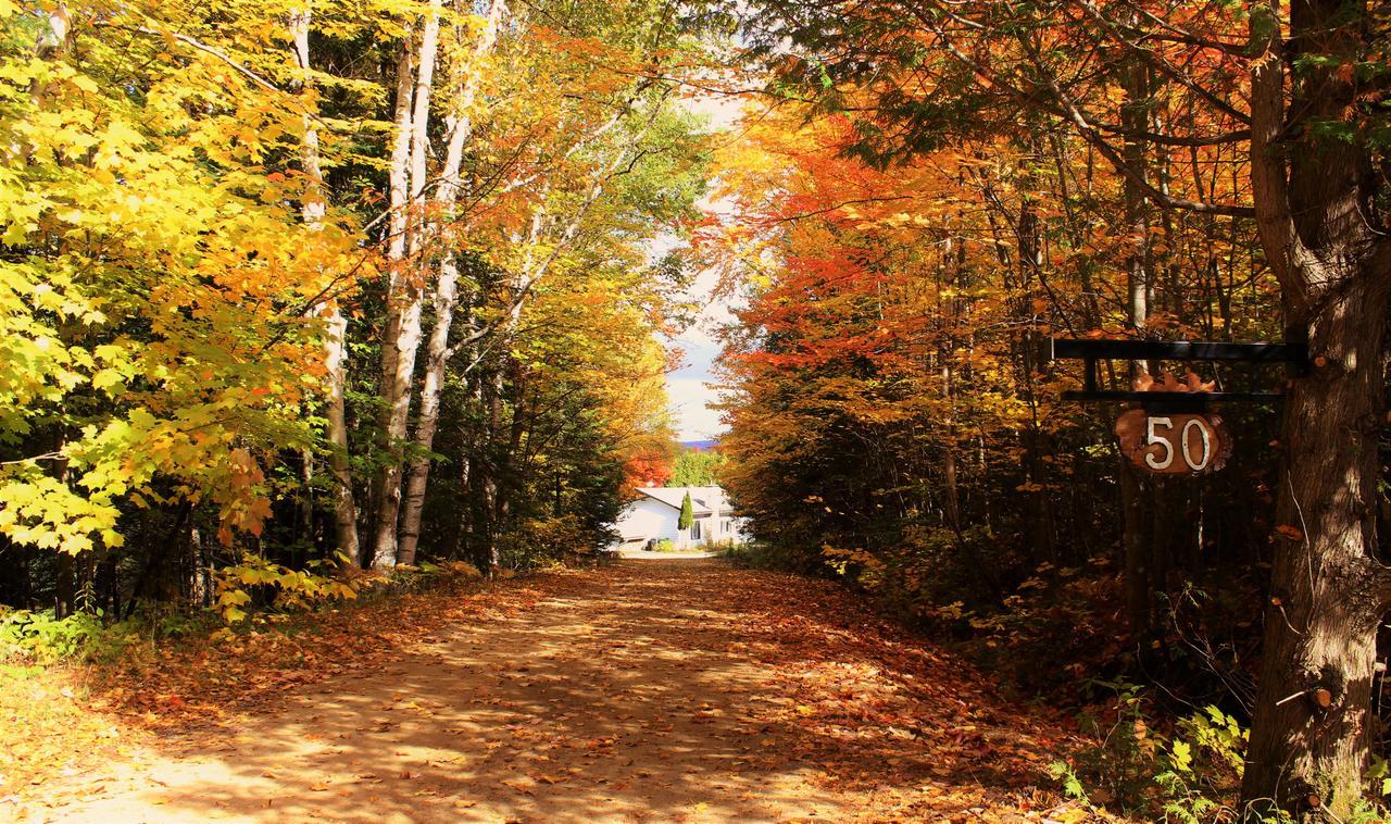 Chalet Riverain Crds Tremblant Lac-Superieur エクステリア 写真